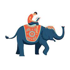 فیل سوار